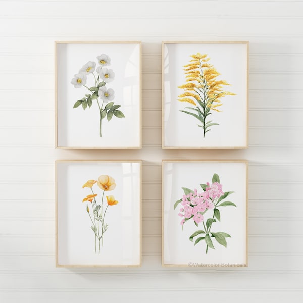 Láminas artísticas de acuarela de flores estatales - Juego de 4 láminas para pared de galería botánica