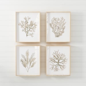 Set di 4 coralli ad acquerello, 4 stampe, decorazione murale minimalista boho costiera, opera d'arte dipinta a mano, decorazione per casa sulla spiaggia, arte neutra