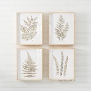 Pu&ograve; includere: Quattro stampe botaniche incorniciate con illustrazioni ad acquerello di felci nei toni del beige e del marrone. Le stampe sono esposte su uno sfondo bianco. La firma dell'artista &egrave; in basso a destra.
