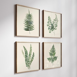 4 Ferns on Beige Background - Botanical Prints Quadriptych –  Leaves Wall Art Prints - Set of 4 Minimalist Graphics for Modern Home
