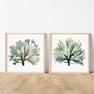 Emerald Japandi Seaweed – Set di 2 illustrazioni quadrate / Decorazione murale minimalista corallo e costiero / Arte nautica moderna