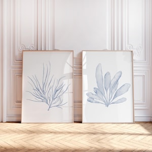 Corales azules apagados, decoración minimalista para pared, pintura de algas marinas, juego de 2 láminas, algas, decoración náutica para el hogar, arte costero.