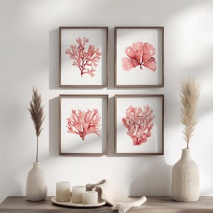 Set di 4 stampe artistiche da parete corallo - Decorazione per il bagno oceano rosso - Opera d'arte acquerello costiera - Arte murale casa sulla spiaggia