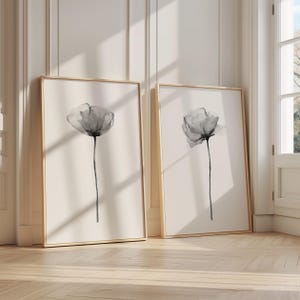 Cuadro de amapola negra, juego de 2 impresiones, decoración de pared de estilo rústico moderno, flores silvestres abstractas, botánico minimalista