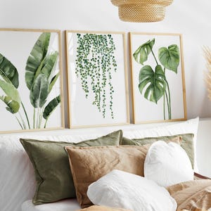 May include: Three framed botanical prints with watercolour illustrations of tropical plants. The prints are above a bed with green, brown, and white pillows. A decorative woven light fitting hangs from the ceiling.