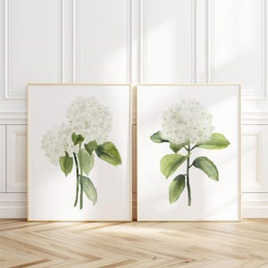 Stampe minimaliste di ortensie bianche – Set di 2 dipinti ad acquerello floreali, elegante arte murale per soggiorno
