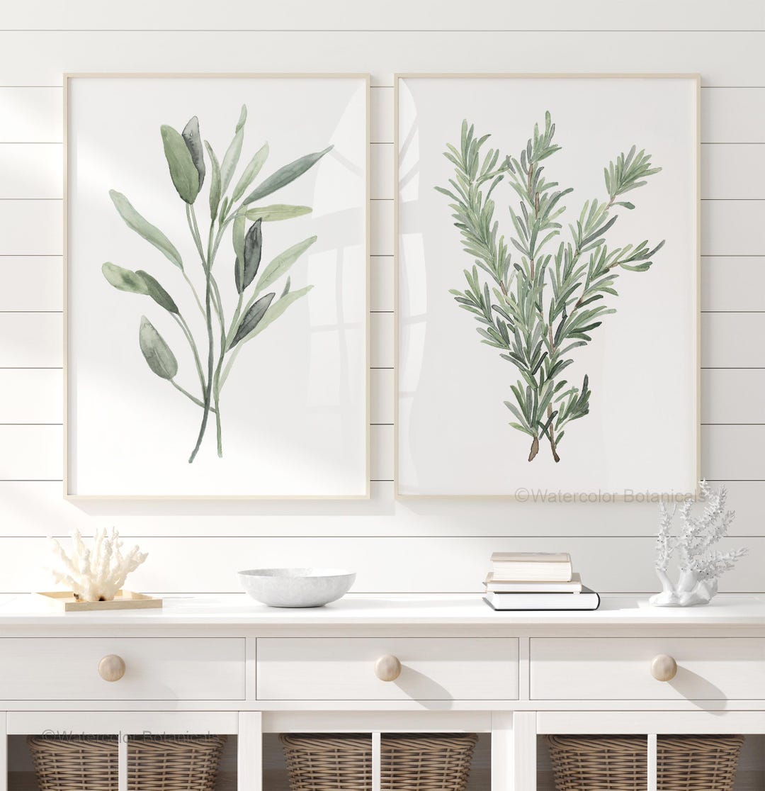 Modern Herb Wall Art – Sage Watercolor Prints Set of 2, Botanical ...