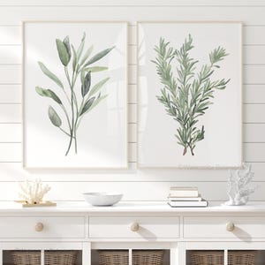 Decorazioni da parete per cucina moderne - Stampe ad acquerello di salvia - Set di 2 decorazioni da parete per cucina con erbe aromatiche, illustrazione di piante botaniche, arredamento rustico da fattoria