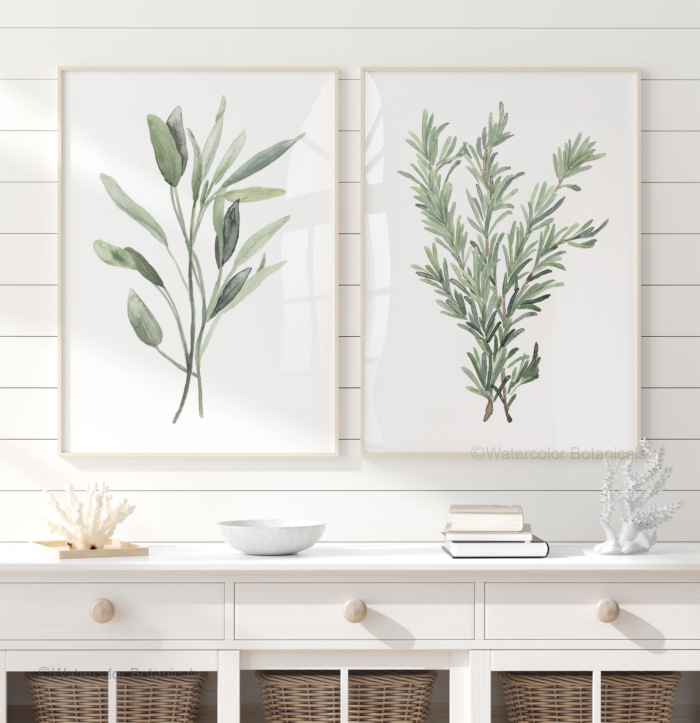 Modern Herb Wall Art – Sage Watercolor Prints Set of 2, Botanical ...