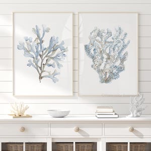 May include: Two framed wall art prints featuring watercolor illustrations of coral. The left print displays a branching blue coral, while the right print shows a textured, porous blue and grey coral. Both are set against a plain white background.
