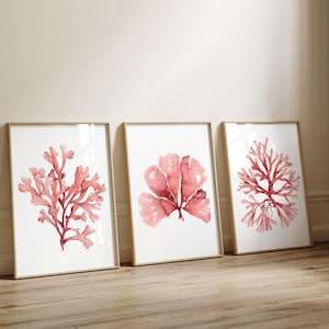 Rote minimalistische Wandkunst für Wohnzimmer - Küsten Aquarell Bilder, Korallen und Algen, moderne Wanddekoration, 3er-Set