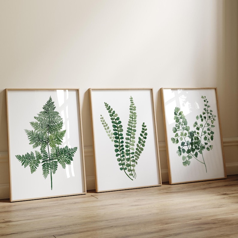 May include: Three framed prints of watercolor illustrations of different types of ferns. The ferns are green and have a natural, organic look.