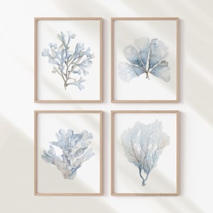 Coralli blu pallido Arte murale costiera moderna, opera d'arte nautica ad acquerello per case moderne, set di 4 stampe