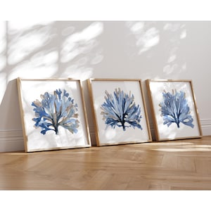 Set di 3 stampe da parete Indigo Corals - Stampe costiere astratte, decorazioni botaniche quadrate minimaliste, belle arti blu per spiaggia o interni moderni