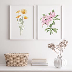Papavero della California e alloro di montagna ad acquerello, set minimalista di 2 stampe, arte di coppia, poster di belle arti, grande opera d'arte