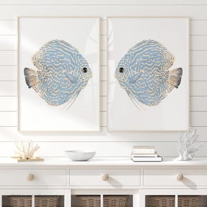 Pesce disco astratto, set di 2 stampe, decorazione murale moderna in stile costiero, opera d'arte ad acquerello, animali marini, arte della casa sulla spiaggia, dipinto di pesce azzurro