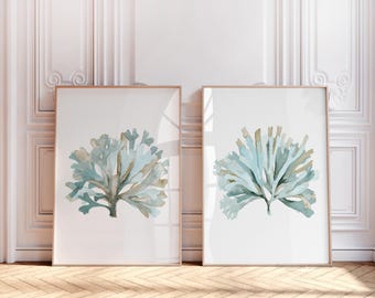 May include: Two framed art prints featuring watercolor illustrations of sea coral in shades of blue, green, and tan. The artwork is displayed against a white background and framed with a light brown border. The prints are displayed on a wooden floor.