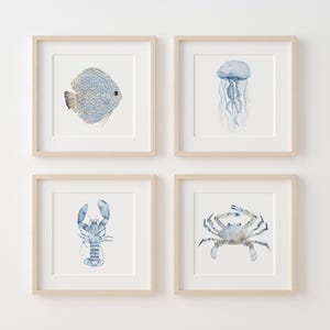 Watercolor Prints  - Set of 4 Coastal Prints Featuring Lobster, Jellyfish, Crab, and Discus Fish