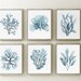 Blue & Gray Corals, Minimalist Wall Decor, Nautical Artwork, Set of 6 ...
