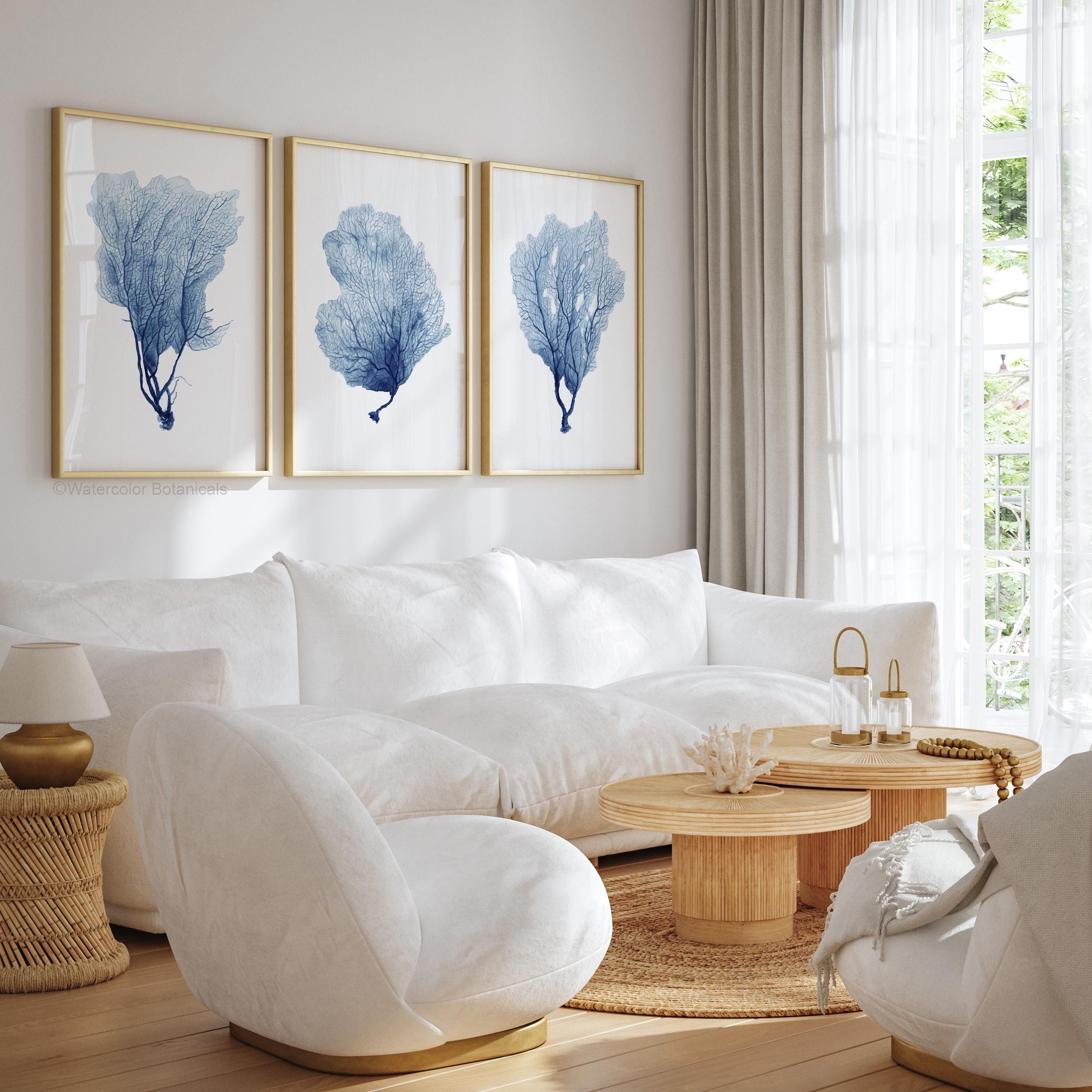 Sea Fan Coral Set of 3 Prints – Navy Blue Coastal Giclée Wall Art - Etsy UK