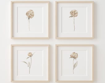 Könnte beinhalten: Vier gerahmte botanische Drucke mit Aquarellillustrationen von beigefarbenen Pfingstrosenblüten. Jeder Druck ist in einem quadratischen, hellen Holzrahmen mit weißem Passepartout gefasst. Das Kunstwerk hat eine minimalistische, elegante Ästhetik.