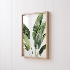 May include: A framed watercolor painting of green banana leaves on a white background.