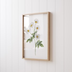Stampa artistica Cherokee Rose, dipinto floreale, disegno minimalista, stampa botanica, acquerello