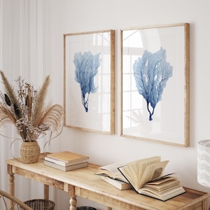 Watercolor Sea Fan Prints – Set of 2 Coastal Wall Art – Minimalist Beach House Decor – Modern Ocean Artwork