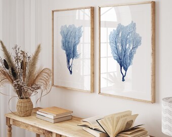 Watercolor Marine Corals - Sea Fan Prints – Set of 2 Minimalist Coastal Posters