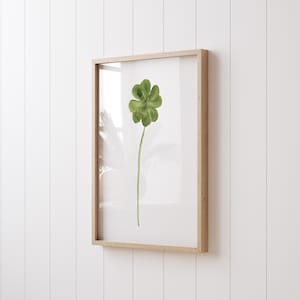 Trébol de cuatro hojas para la suerte, pintura minimalista de trébol en acuarela, arte mural botánico minimalista, póster de arte de cocina escandinavo, obra de arte