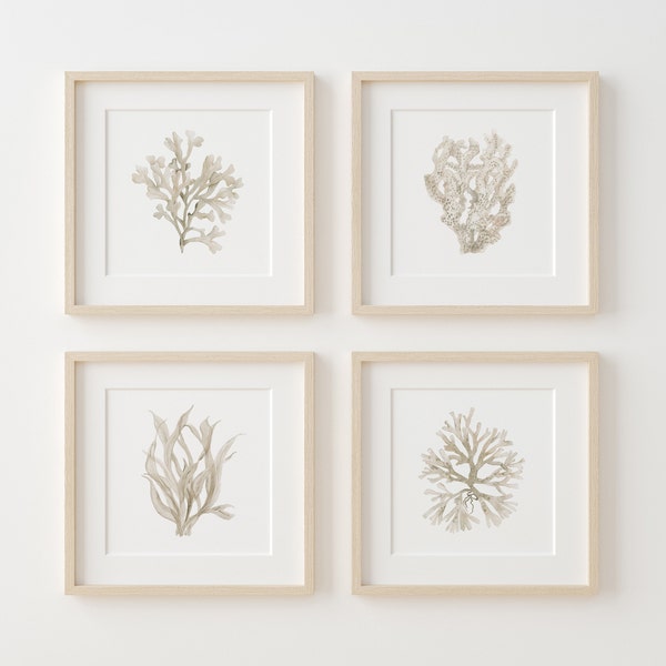 Boho Corals Seaweeds, Minimalist Wall Decor, Set of 4 Prints, Square and Rectangular Pictures, Neutral Wall Decor