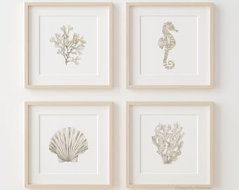 Boho Sea Life, Set of 4 Minimalistic Prints, Neutral Sea Life Posters, Corals, Seaweed, Seahorse, Scallop Shell