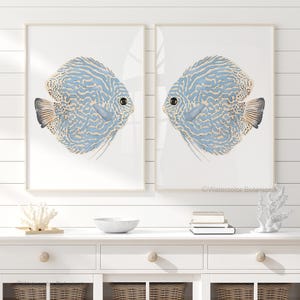 Abstrakter Diskusfisch, 2er-Set Drucke, moderne Küstenwanddekoration, Aquarellkunst, Meerestiere, Strandhauskunst, blaue Fische