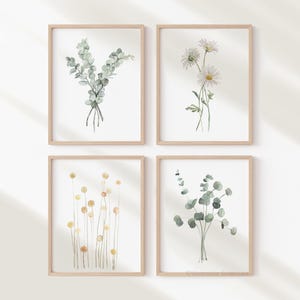 Set di 4 stampe di piante acquerellate: Billy Buttons (Craspedia), Margherita, Eucalipto, Arte botanica minimalista in verde salvia chiaro, Arte da cucina