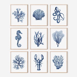 9 kustmarineafdrukken, minimalistische zeedieren, koralen, marien woondecoratie