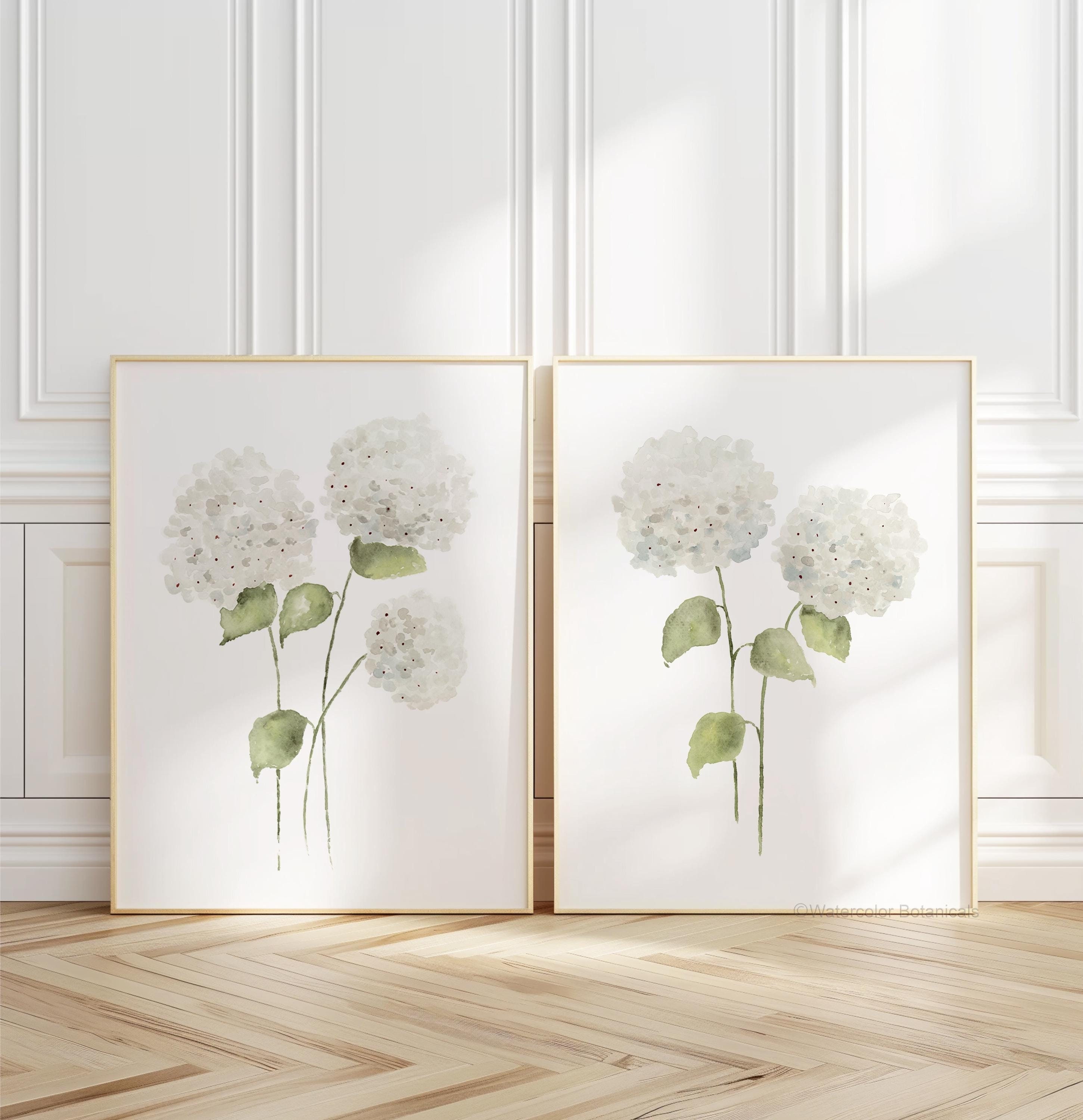 Annabelle Hydrangea Flowers – Set of 2 Watercolor Botanical Prints ...