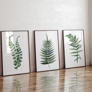 May include: Three framed wall art prints featuring watercolor illustrations of green fern leaves on a white background. Each print is encased in a thin black frame, displaying distinct botanical foliage patterns with varying leaf shapes.