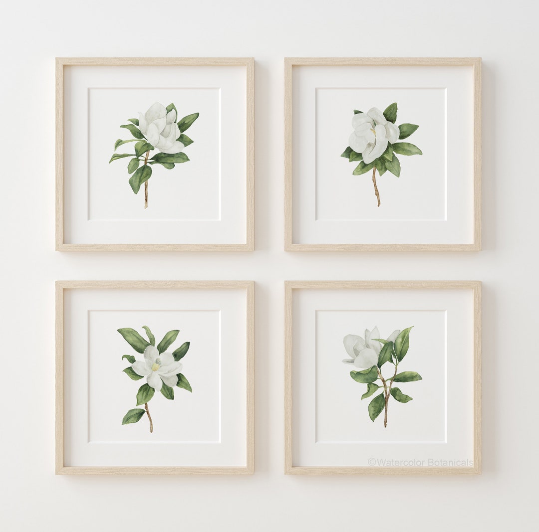 White Magnolia Botanical Prints – Set of 4 Watercolor Floral Art ...