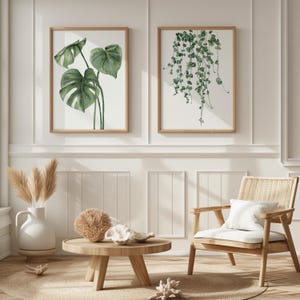 Monstera e Ceropegia Acquerello Arte / Piante forti sospese Stampa / Decorazione murale botanica