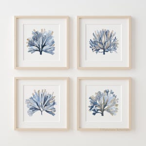 May include: Four framed watercolor prints featuring blue and tan coral reef designs. Each print is square, with a white mat and a light wood frame. The artwork depicts stylized coral formations.