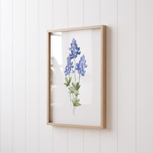 K&ouml;nnte beinhalten: Ein gerahmtes Aquarellbild von Blausternblumen, einer Wildblumenart, die in Texas heimisch ist, mit gr&uuml;nen Bl&auml;ttern und Stielen. Das Bild ist in einem hellen Holzrahmen.