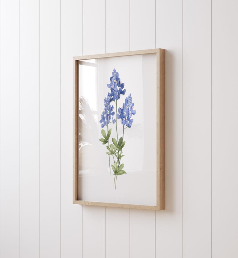 K&ouml;nnte beinhalten: Ein gerahmtes Aquarellbild von Blausternblumen, einer Wildblumenart, die in Texas heimisch ist, mit gr&uuml;nen Bl&auml;ttern und Stielen. Das Bild ist in einem hellen Holzrahmen.