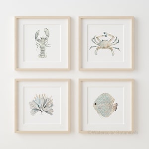 Boho Coastal Set, Minimalist Watercolor Wall Decor, Neutral Art for Modern Room, Sea Life Prints, Neutral Colors Art, Ocean Animals, Seaweed