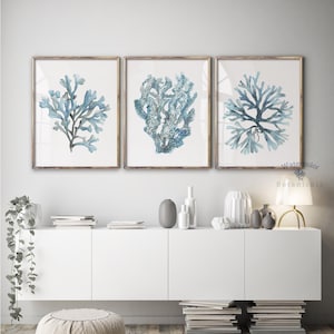 Coralli blu-grigi, set di 3 stampe costiere, decorazioni murali minimaliste, arte blu e grigia, idee per il soggiorno degli Hamptons, minimalista botanico