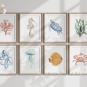 Op de afbeelding: Acht ingelijste aquarelprints met zeedieren. De prints tonen koraal, een zeepaardje, een schildpad, zeewier, een octopus, een kwal, een vis en een krab. Het kunstwerk is in zachte, gedempte kleuren. De naam van de kunstenaar, Eveline Potzalsk, staat rechtsonder afgedrukt.