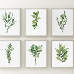 Set of 6 Kitchen Herbs, Fine Art Prints, Watercolor Art Green Sage, Rosemary, Parsley, Oregano, Bay Leaf, Thyme Botanical Wall Decor