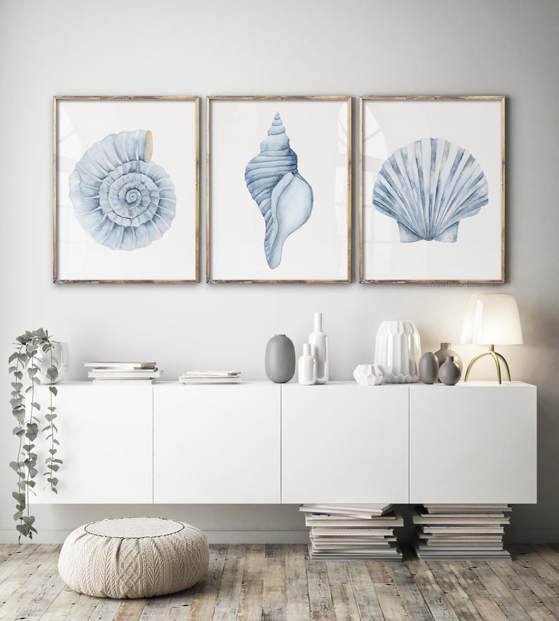 Blue Coastal Shell Wall Art Set of 3 – Ammonite Conch Scallop – Beach ...