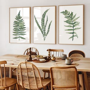 Puede incluir: Tres impresiones botánicas enmarcadas con ilustraciones de acuarela de helechos verdes. Las impresiones tienen un fondo beige claro y se exhiben sobre una mesa de comedor de madera con sillas tejidas. Los marcos son de color marrón claro.
