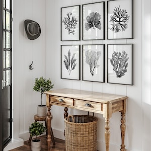 Set of 6 Black Corals and Seaweed, Six Prints, Minimalist Wall Decoration, Watercolor Painting Botanical Prints Black White Artwork, Gallery