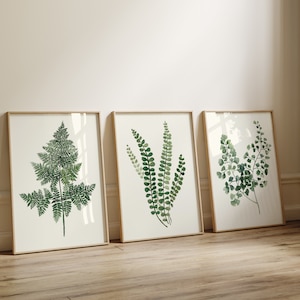 Felci su sfondo CREMA, decorazione da parete botanica moderna da fattoria, set di 3 stampe